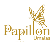 Umalas Bali Villa - Papillon Umalas Villa - Privacy and Serenity On Your Vacation